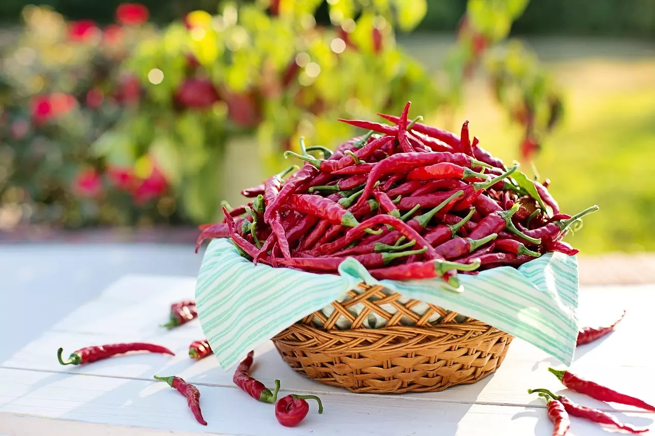 Chili De Cayenne