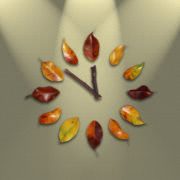 Bild Uhr aus Blättern und Zweigen
