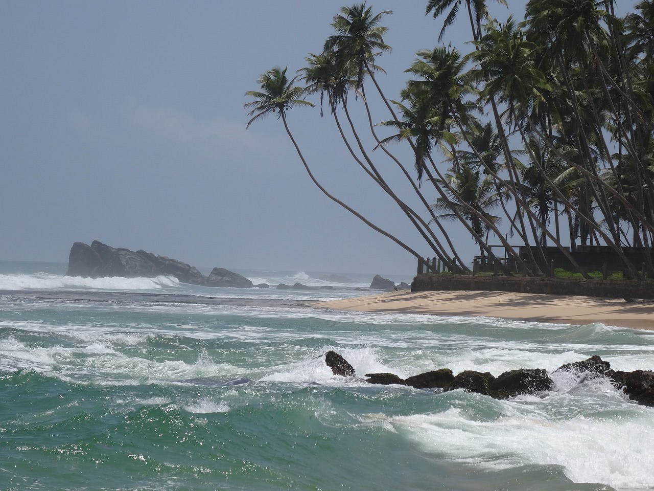 Bild Strand mit Kokospalmen