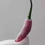 Bild Chilis einfrieren