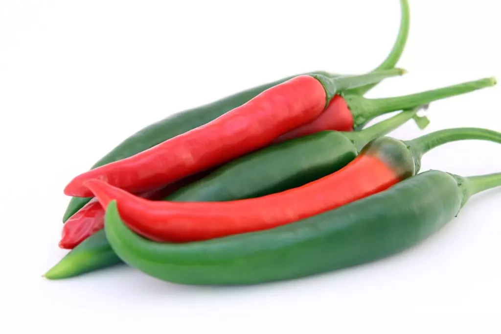 Bild gesunde Chilischoten