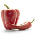 Capsicum Früchte