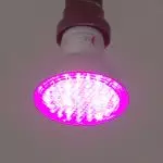 Bild LED Pflanzenlampe für Chilis