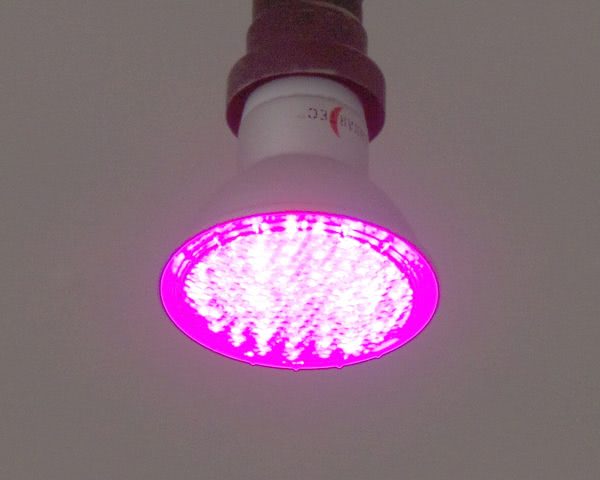 LED-Pflanzenleuchte-E27