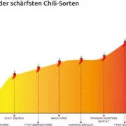 Bild schärfste Chilis Top Ten