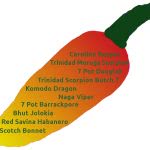 Top Ten der schärfsten Chilis