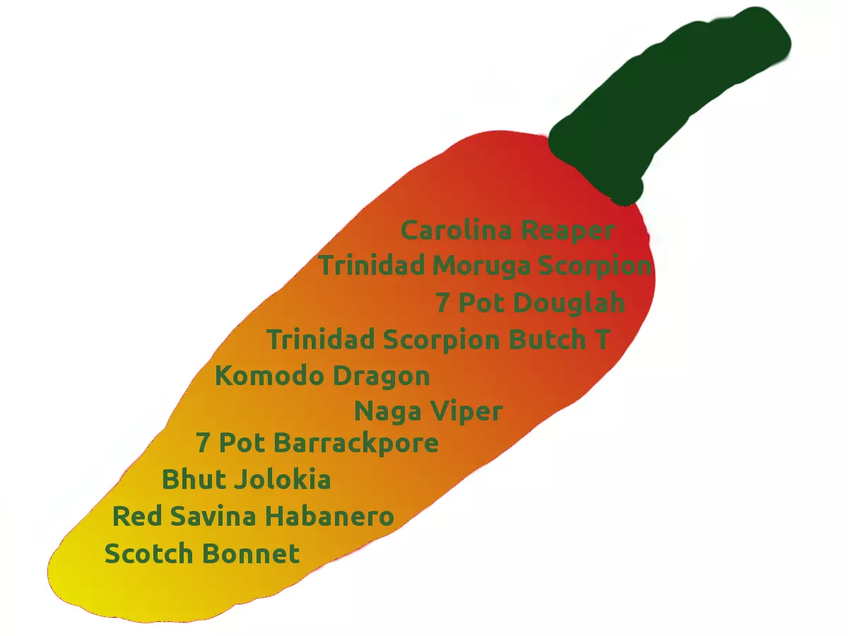 Scharfe Chili Top Ten