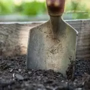 Bild Gartenarbeit