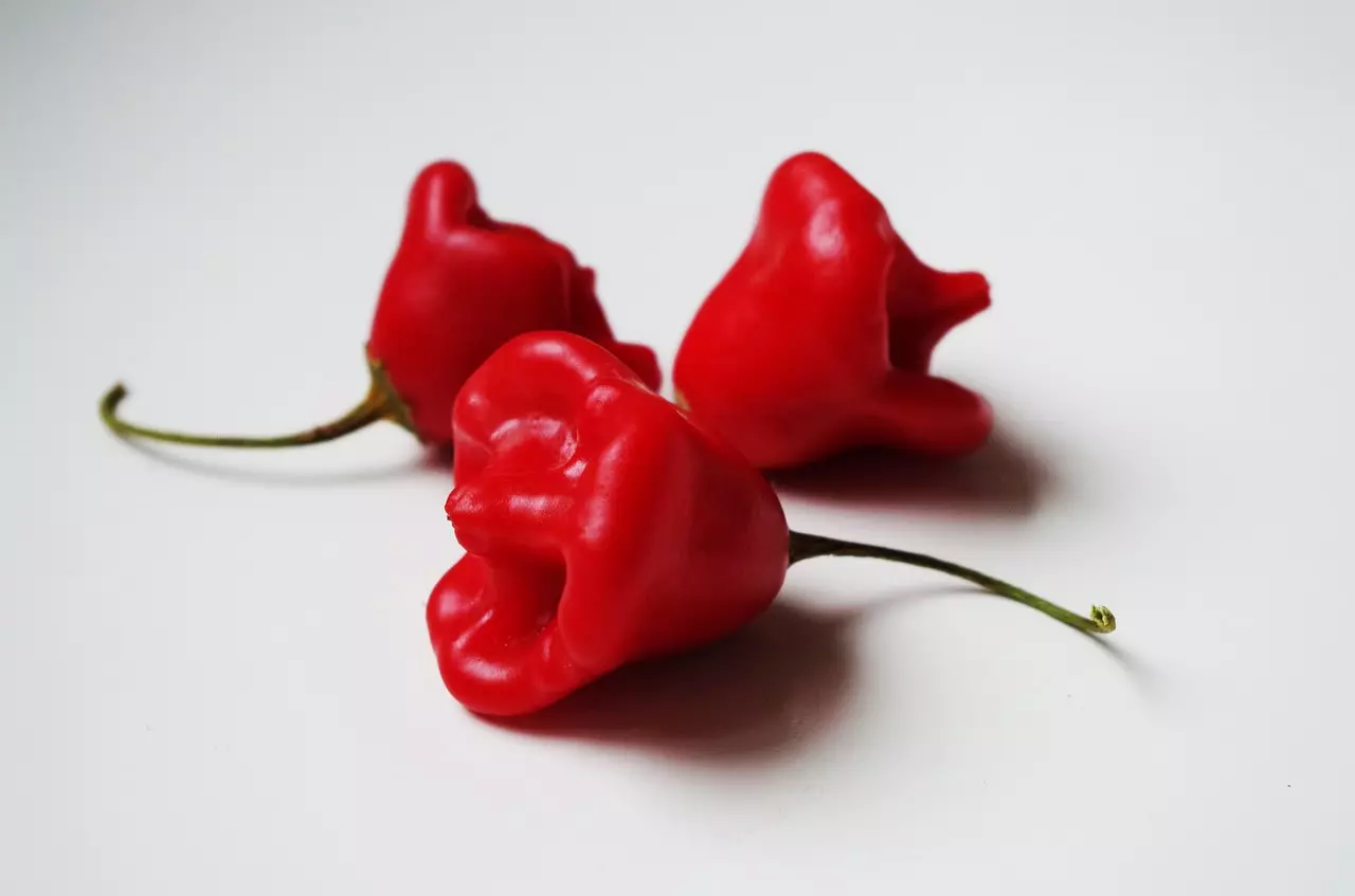 Bishops Crown Chilis