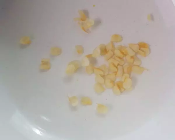 Bild Chilisamen einweichen