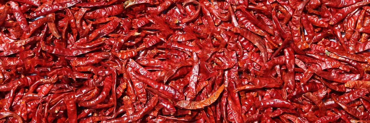 getrocknete Chilischoten