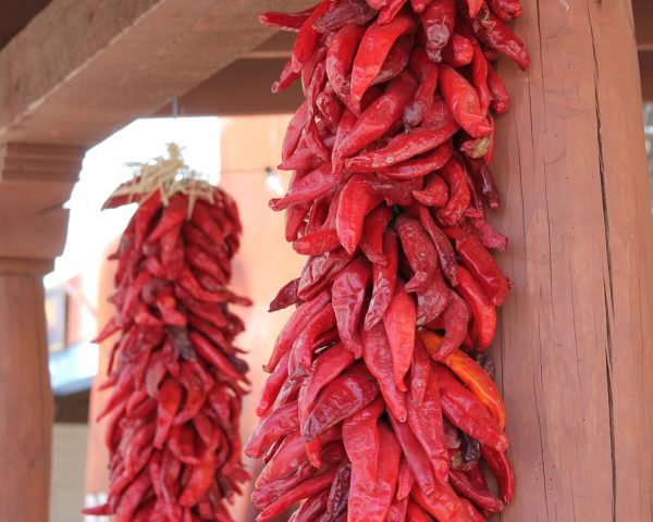 Trocknen Von Chilis Und Peperoni An Der Luft Chilipflanzen Com