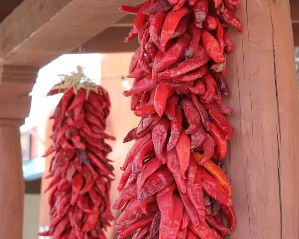 new-mexico-ristras
