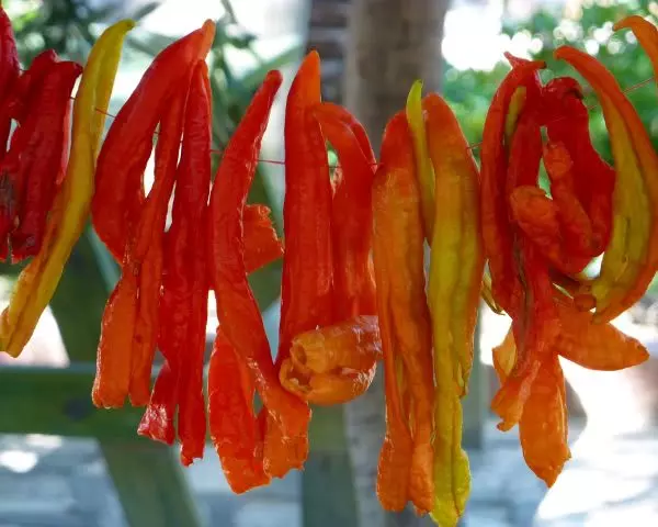 Bild Paprika auf Wäscheleine