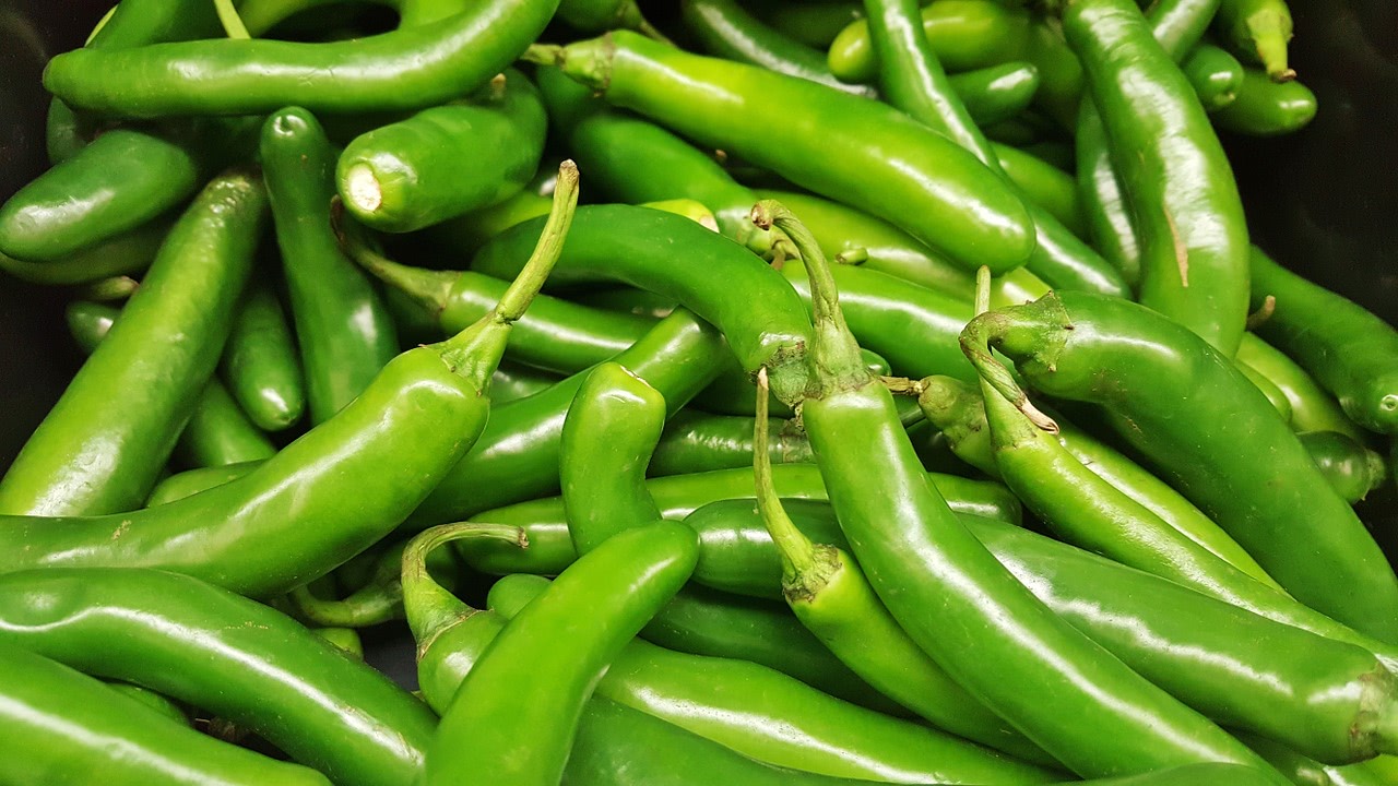 Serrano Chilischoten