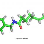 BBild Capsaicin Molekül