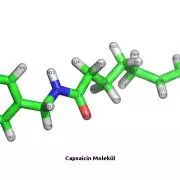 Bild Capsaicin Molekül