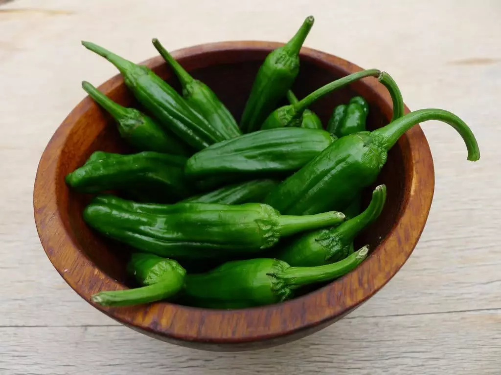 Bild Shishito Chilis in einer Schale
